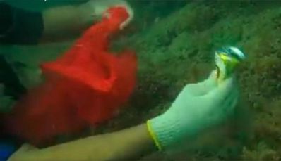 Mergulhadores recolhem 270 kg de lixo no mar da Barra
