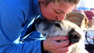 Uma cachorra de rua salvou a minha vida