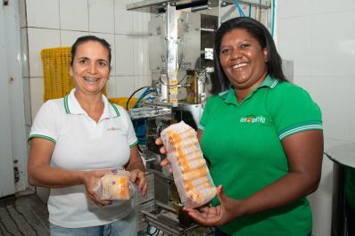Cooperativa transforma a vida de agricultores no Sertão Baiano