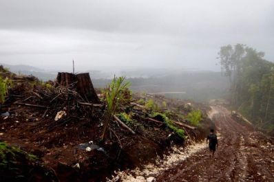 Brasil lidera ranking de mortes de ativistas que lutam por terra e meio ambiente