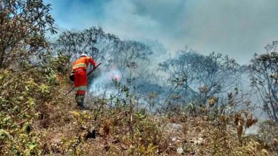 Fogo na Chapada: Incêndio continua a consumir Parque Estadual em Miguel Calmon