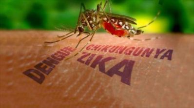 Ibititá na guerra conta o Aedes aegypti