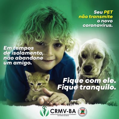 Campanha alerta que animais não transmitem Covid-19