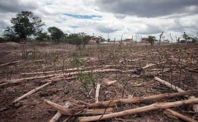 Em virtude da seca, União reconhece estado de emergência em Ibititá 