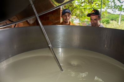 Tecnologias e Assistência transformam produção de leite na Bahia