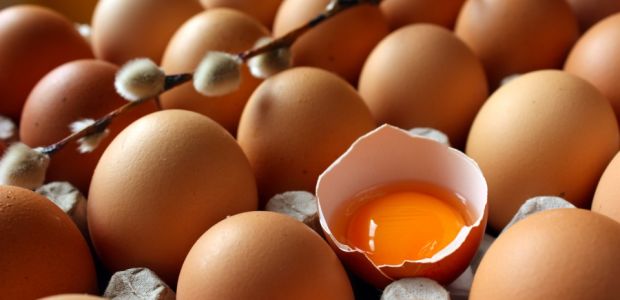 Consumo de ovo na infância ajuda no desenvolvimento do cérebro