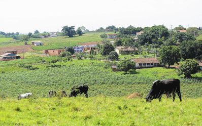 Menos de 1% das propriedades agrícolas detém quase metade da área rural no país