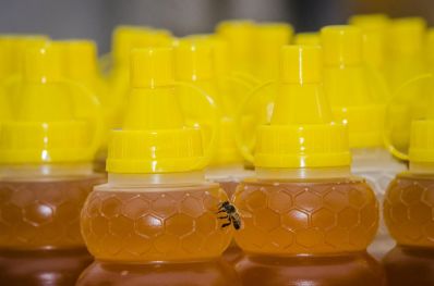 Agricultores da Bahia registram aumento na procura de mel 