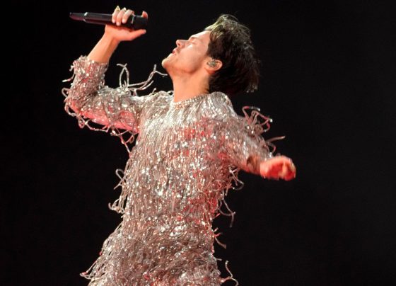 Como Harry Styles criou um novo tipo de estrela pop