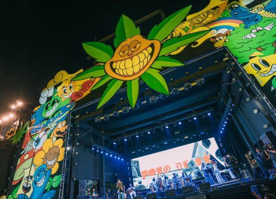 Plantão Festival